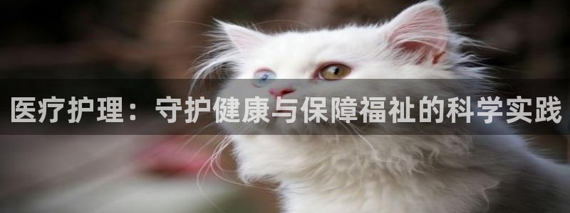 拷贝漫画下载正版：医疗护理：守护健康与保障福祉的科学实践
