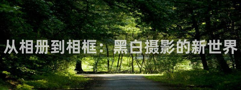 拷贝漫画无广告版：从相册到相框：黑白摄影的新世界